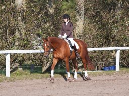 IMG_7761_web